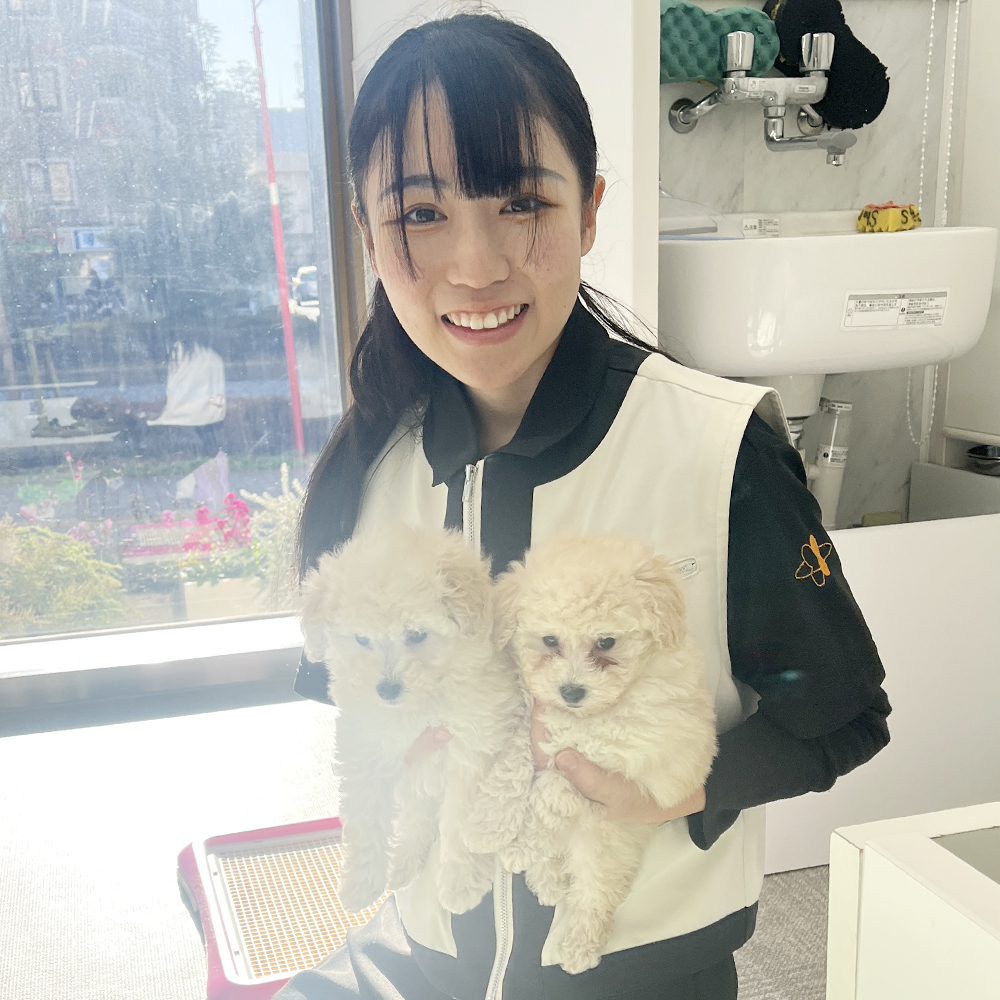 ２年生のペットショップ実習